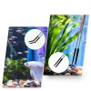 Stainless Steel Reptile Feeding Tweezers QianXi 10.6" Curved Set-4