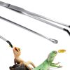 Stainless Steel Reptile Feeding Tong - Lasnten 2-Piece Set with Spoon-0