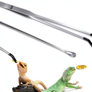 Stainless Steel Reptile Feeding Tong - Lasnten 2-Piece Set with Spoon-0