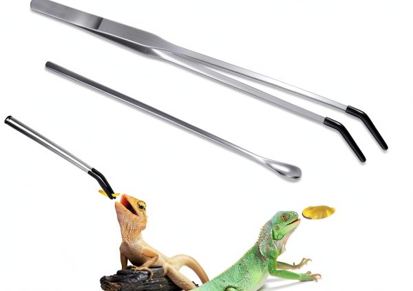 Stainless Steel Reptile Feeding Tong - Lasnten 2-Piece Set with Spoon-0