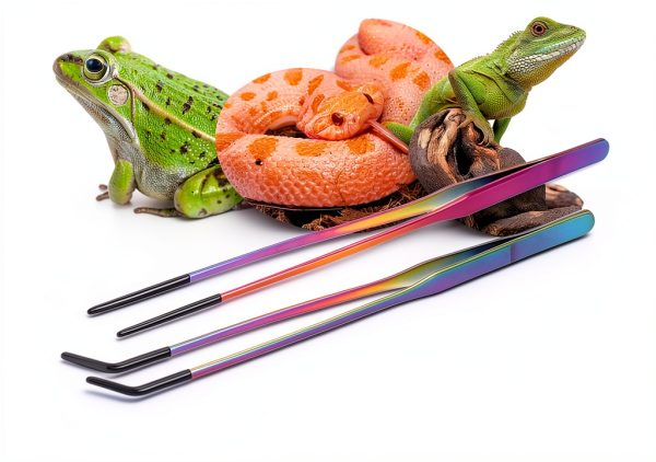 Stainless Steel Reptile Feeding Tweezers QianXi 10.6" Curved Set-5