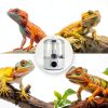 Reptile Humidifier Fogger YINDUZ 4L Adjustable Mist and Remote Control-7
