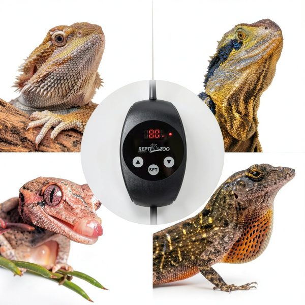 REPTIZOO Dimming Thermostat TC02 for Reptile Heat Lamps, PID-7