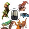 REPTI ZOO 4L Reptile Fogger Mister Tank, Terrariums Digital Tank Timing Humidifier Smart Touch Screen Adjustable Fogger for Reptiles Amphibians Herps-4