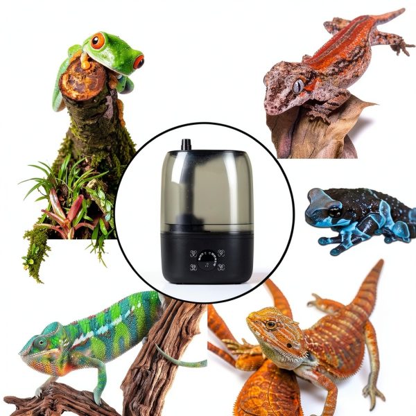 REPTI ZOO 4L Reptile Fogger Mister Tank, Terrariums Digital Tank Timing Humidifier Smart Touch Screen Adjustable Fogger for Reptiles Amphibians Herps-4