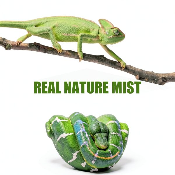MRREPTILE Reptile Fogger Humidifier, 2.8L Misting System for-4
