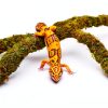 Leopard Gecko Climbing Toy by Jinymral, Adjustable Terrarium Decor-1