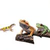 Reptile Mister System by AlxamolTools for Terrarium Humidifiers with-1
