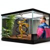 DIY Snake Climbing Accessories horsmiyala 3 Black Terrarium Set 7 Ways-2