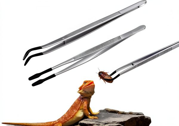 Feeding Tongs 6 Inch Soft Tip Steel by Furatune Terrarium Accessory-0