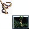 DIY Snake Climbing Accessories horsmiyala 3 Black Terrarium Set 7 Ways-5