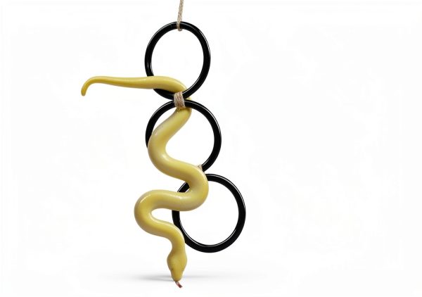 DIY Snake Climbing Accessories horsmiyala 3 Black Terrarium Set 7 Ways-1