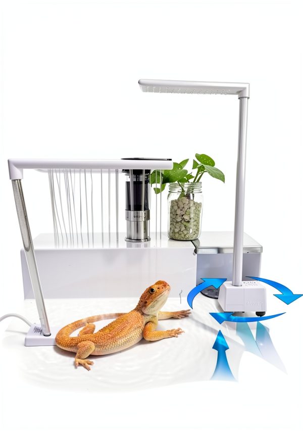 Bearded Dragon Bathtub Accessories with Lizard Towel, Reptile Fountain-2