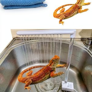 Bearded Dragon Bathtub Accessories with Lizard Towel, Reptile Fountain-0