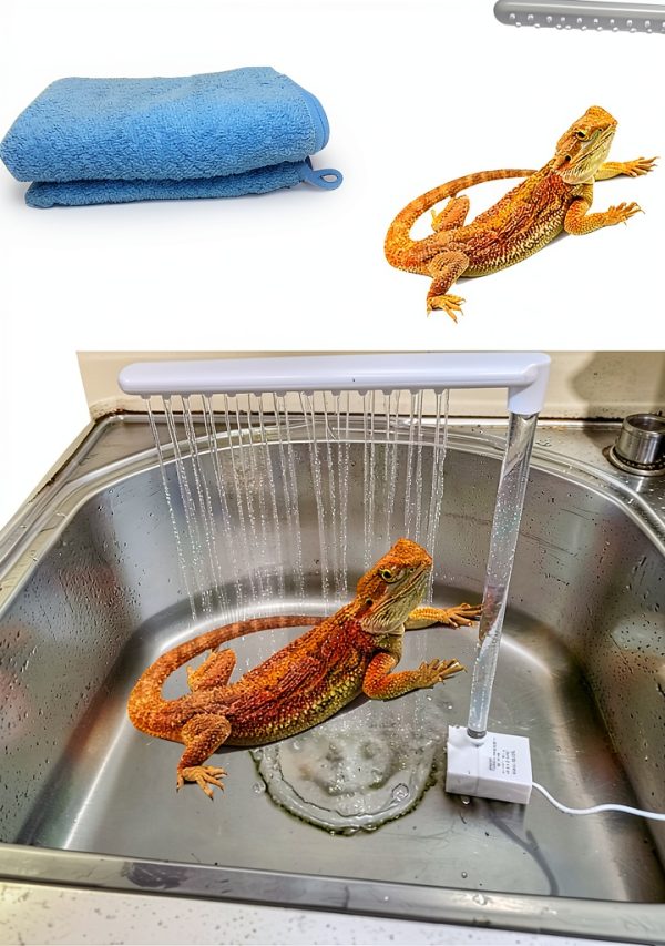 Bearded Dragon Bathtub Accessories with Lizard Towel, Reptile Fountain-0