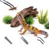 2 Pcs Extra Long Stainless Steel Reptile Feeding Tongs 10.6 IN with Soft Rubber Tip – Straight & Curved Tweezers for Bearded Dragon, Tank Accessories, Lizards, Terrarium, Aquarium, Leopard Gecko-2