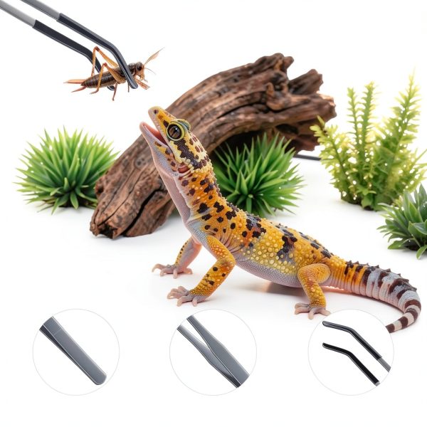 2 Pcs Extra Long Stainless Steel Reptile Feeding Tongs 10.6 IN with Soft Rubber Tip – Straight & Curved Tweezers for Bearded Dragon, Tank Accessories, Lizards, Terrarium, Aquarium, Leopard Gecko-2